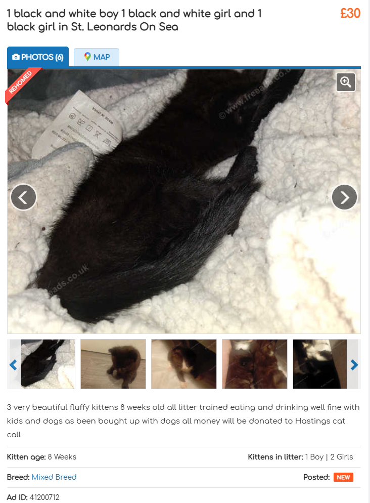 Free Ad fraudulent reference to Cat Call