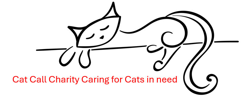 Caring for Cats in need