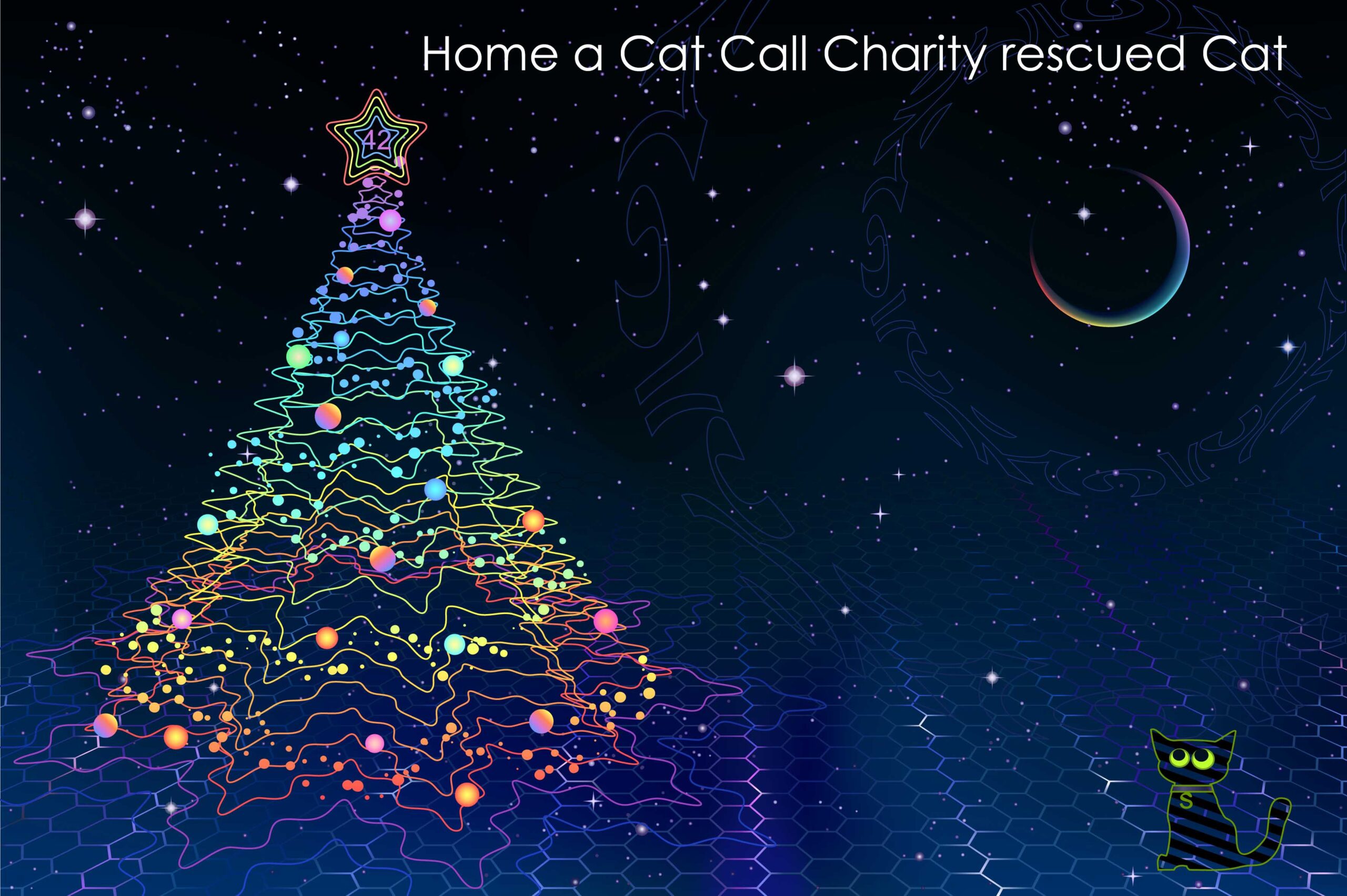 Cat Call rescuing and homing cats in need