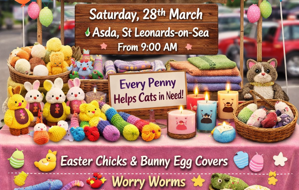 Join Us for a Purr-fect Fundraising Event!