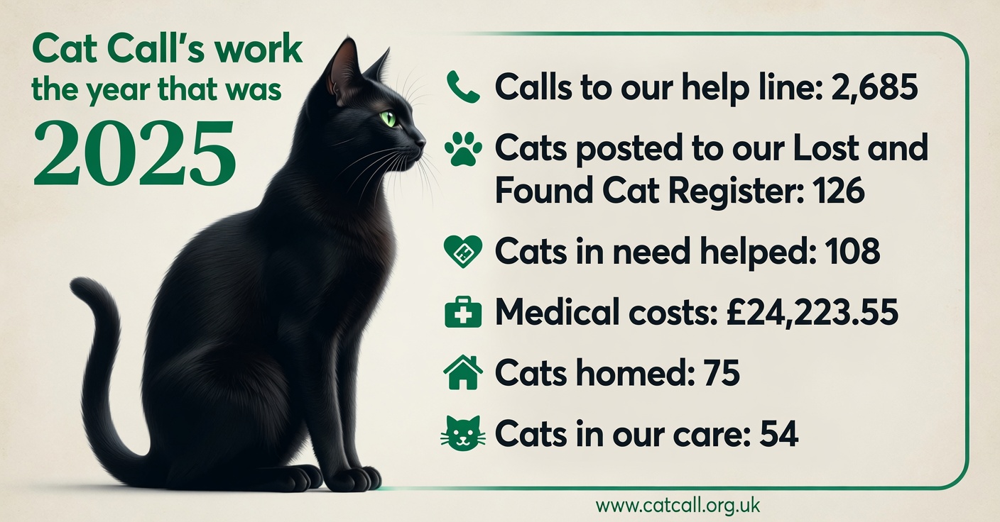 Cat Call charities work in 2025