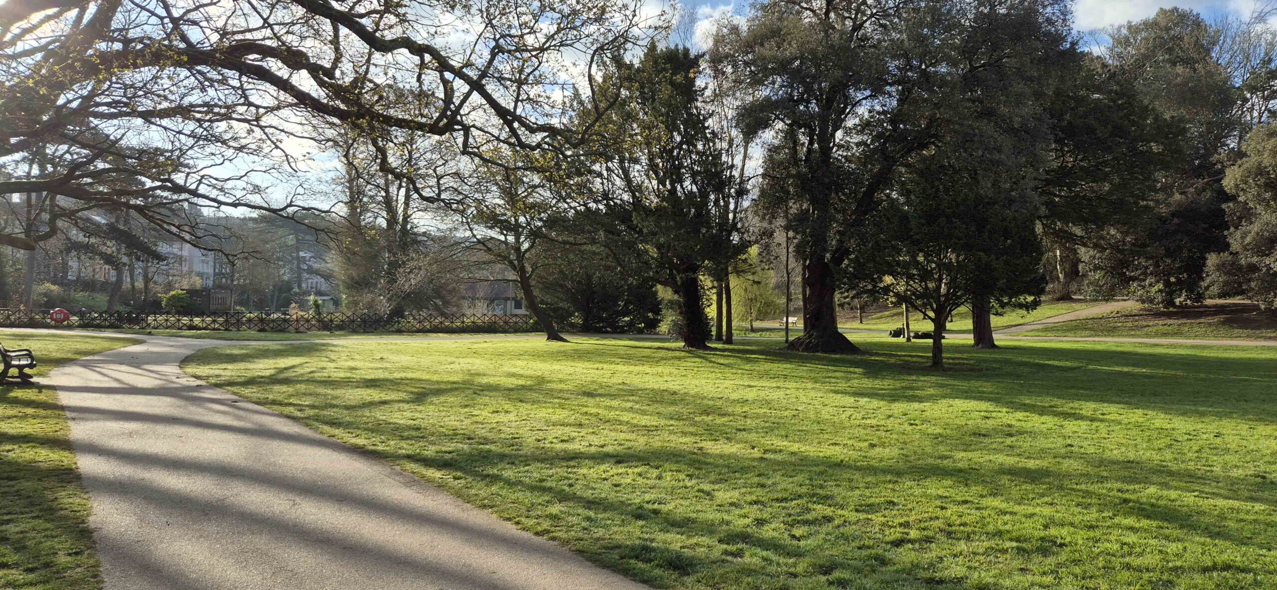 Cat Call Charity caring for Cats in need