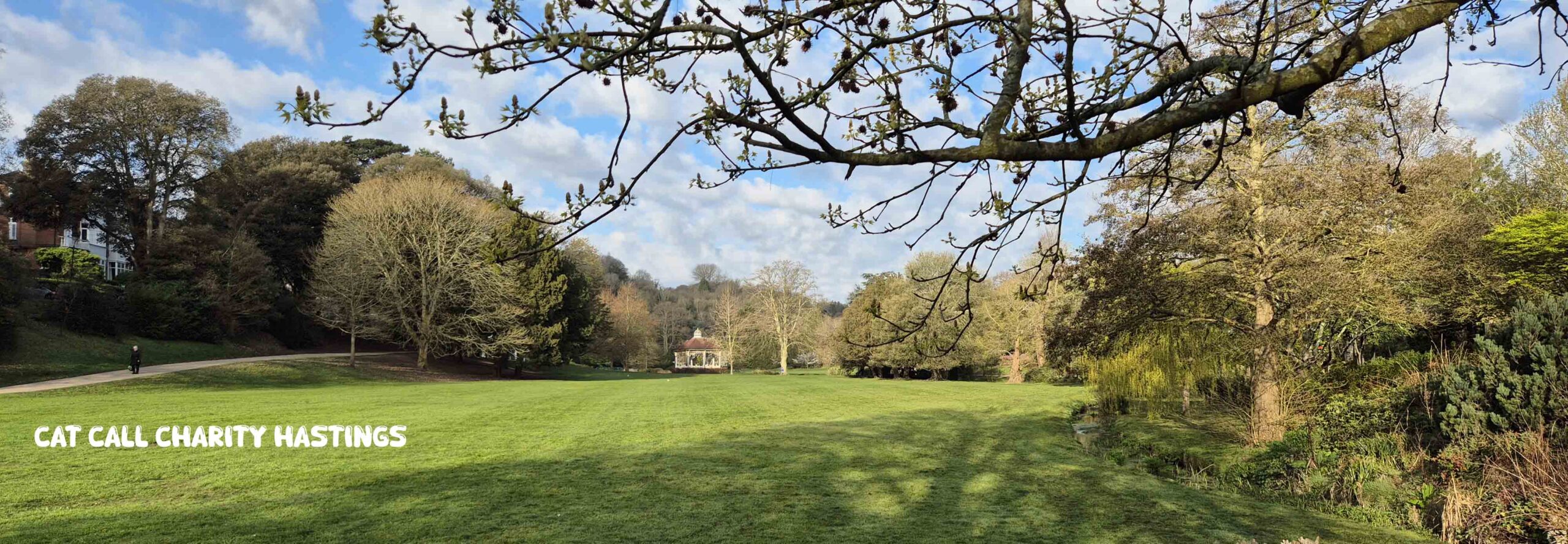 Cat Call Charity caring for Cats in need