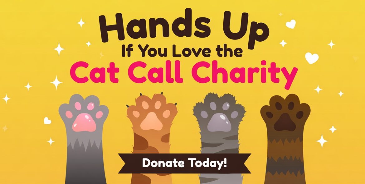 Hands up if you love Cat Call! Hands up if you love Cat Call!