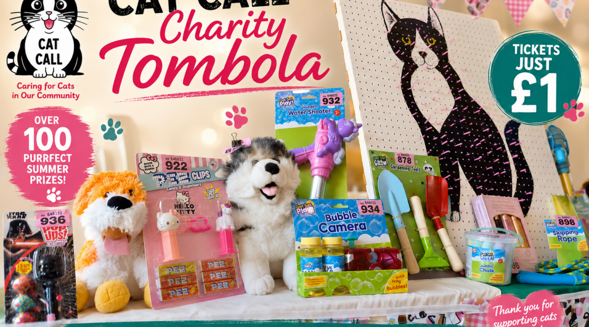 Cat Call Charity Summer Tombola at Asda – Saturday 18th July