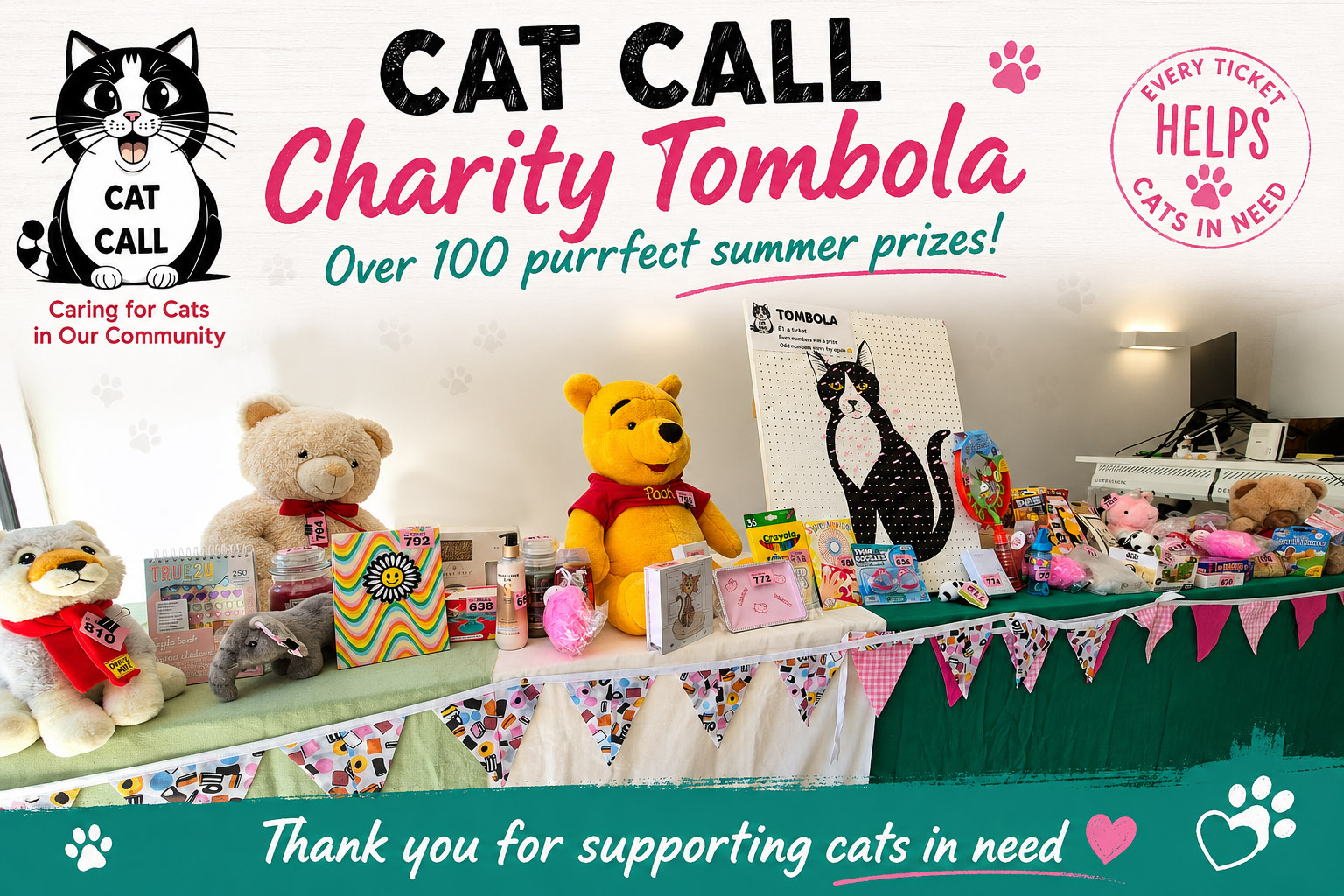 Cat Call charity tombola