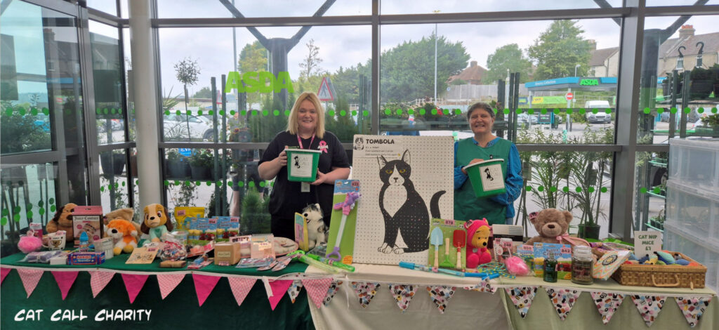 Cat Call charity in Asda