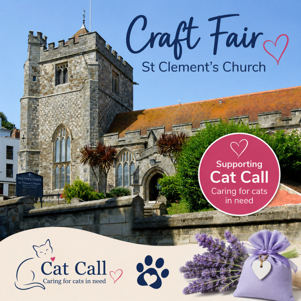 Cat Call Charity will be at the St Clements Craft Fair