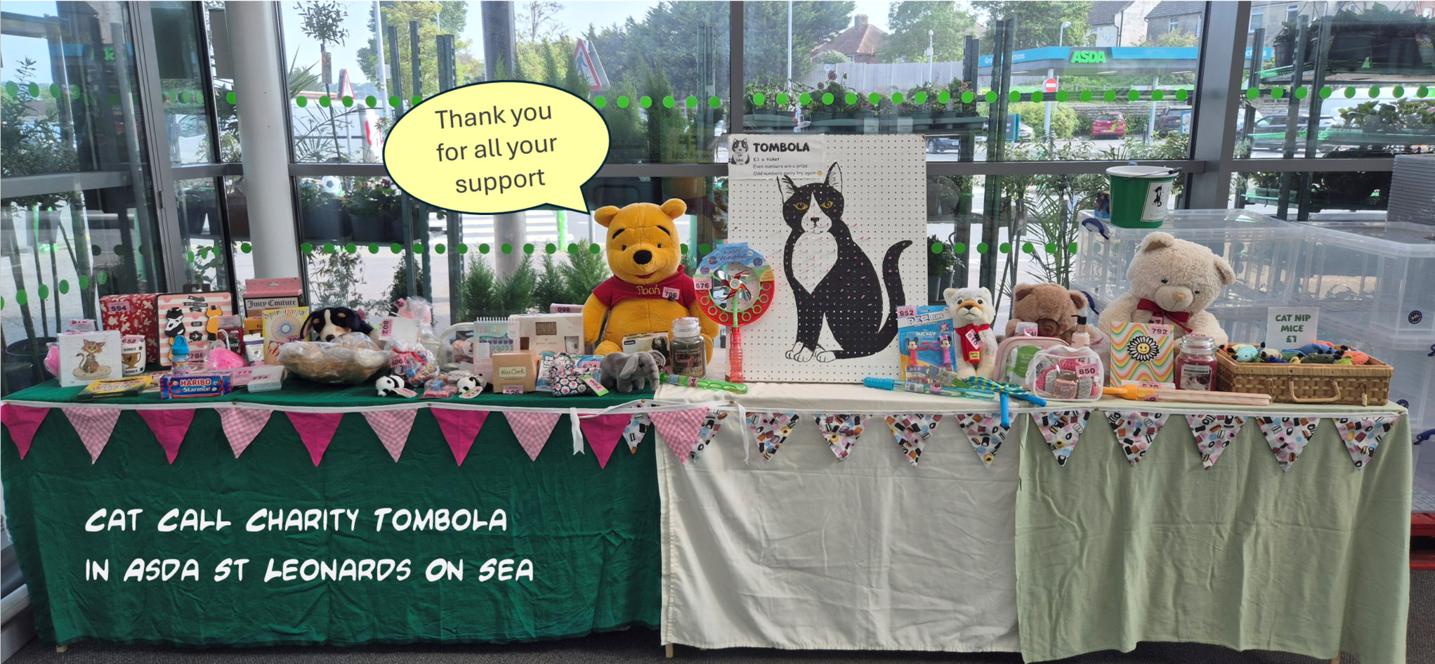Cat Call charity summer tombola in Asda