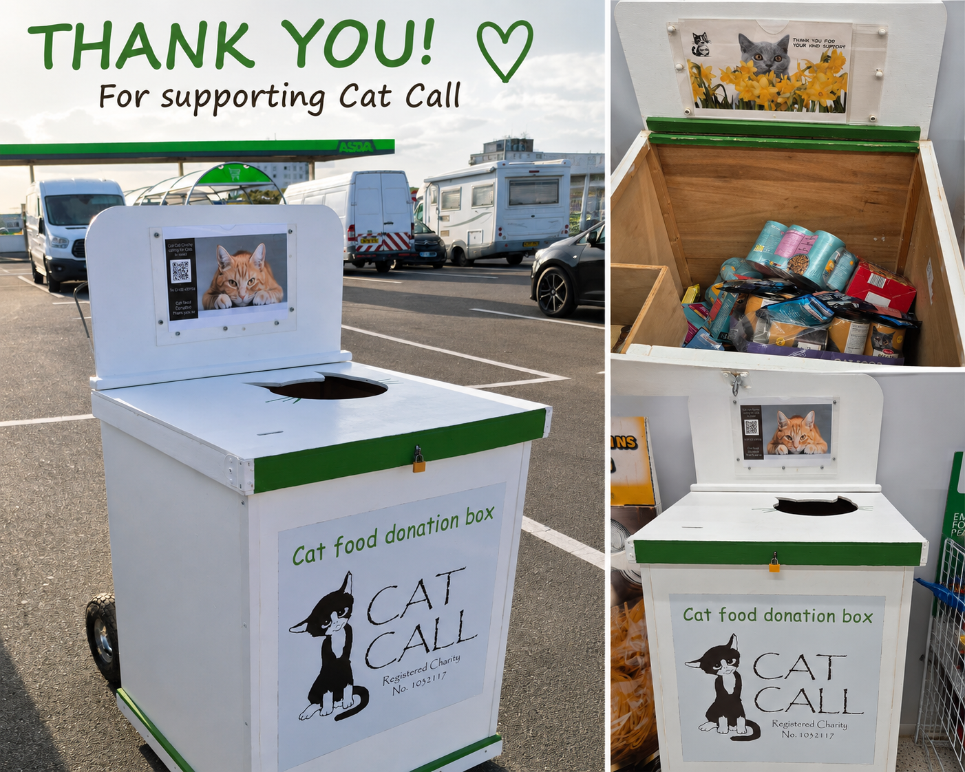 Cat Call in Asda