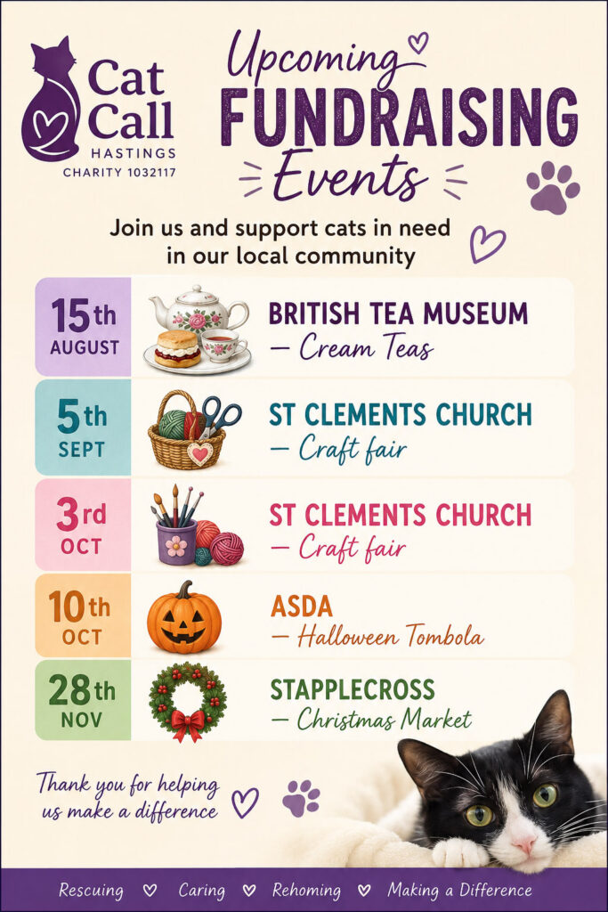 Cat Call Charity fund raising in Hastings