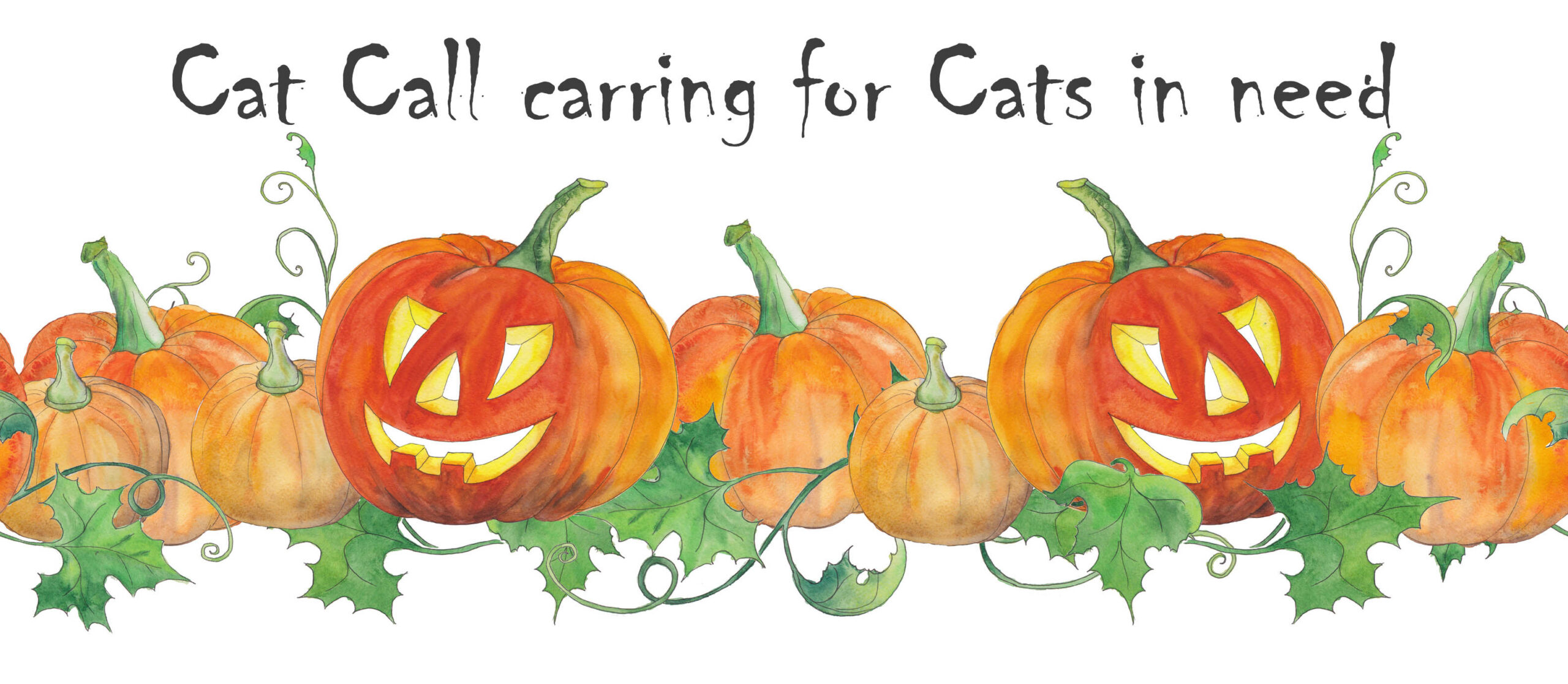 Cat Call Charity